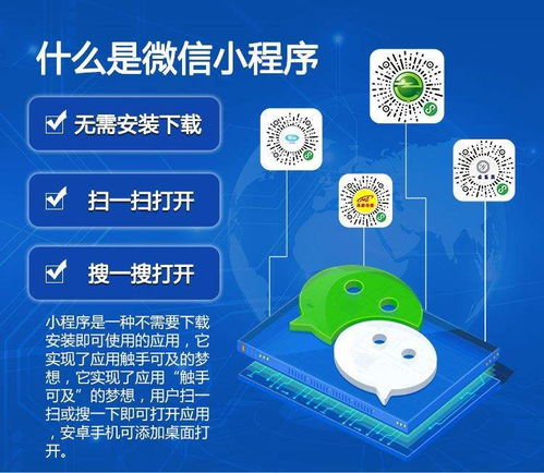 携手优质湖州小程序开发公司，共促基础教育创新发展